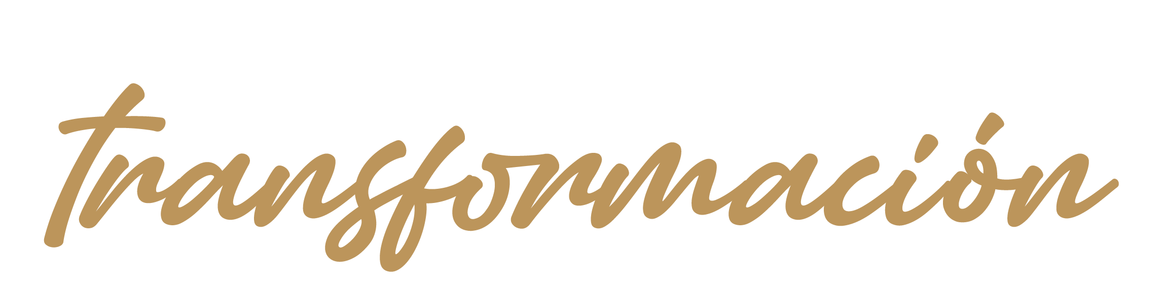 Sistema de Becas para la Transformación